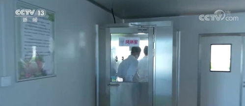 科技技术赋予 植物工厂 ,使蔬菜达到最佳生长状态